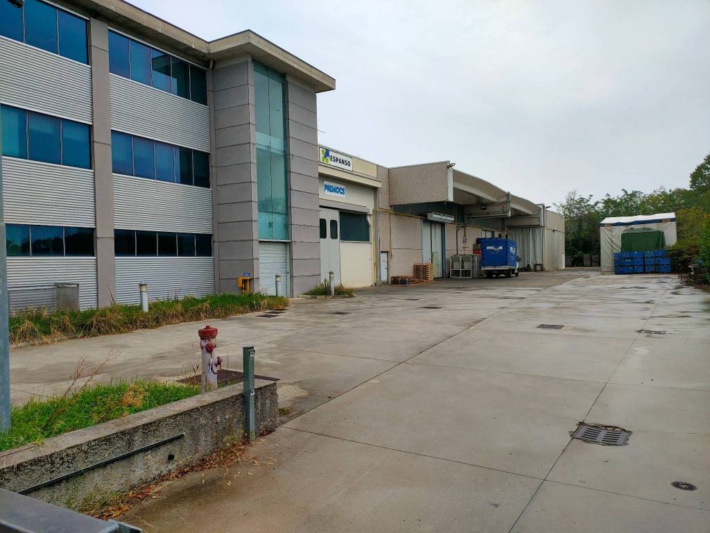 immagine annuncio 2 di 5