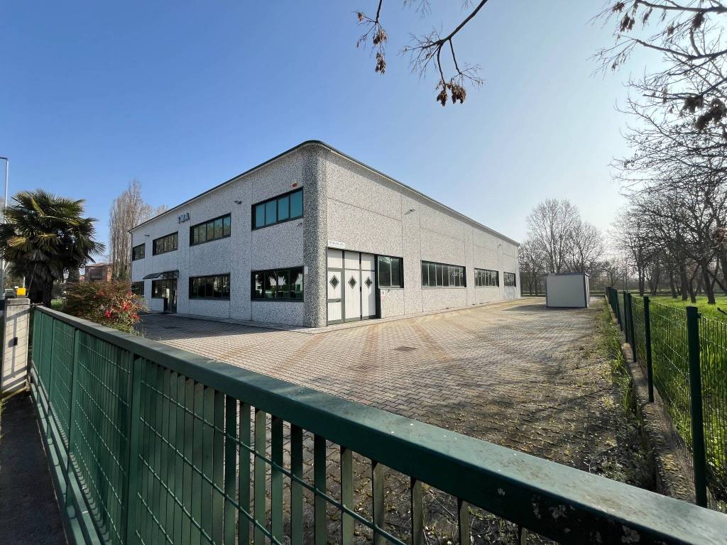 immagine annuncio 4 di 5