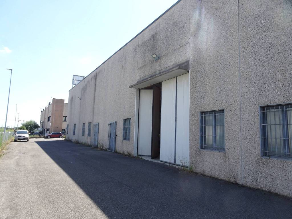 immagine annuncio 2 di 5