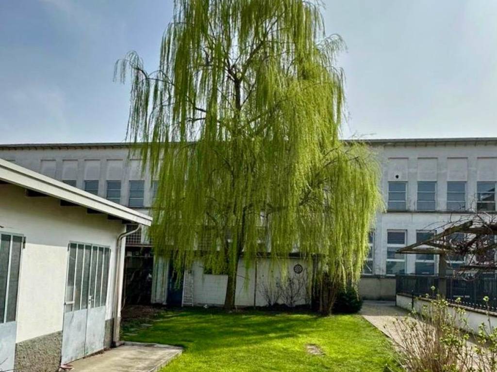 immagine annuncio 2 di 5