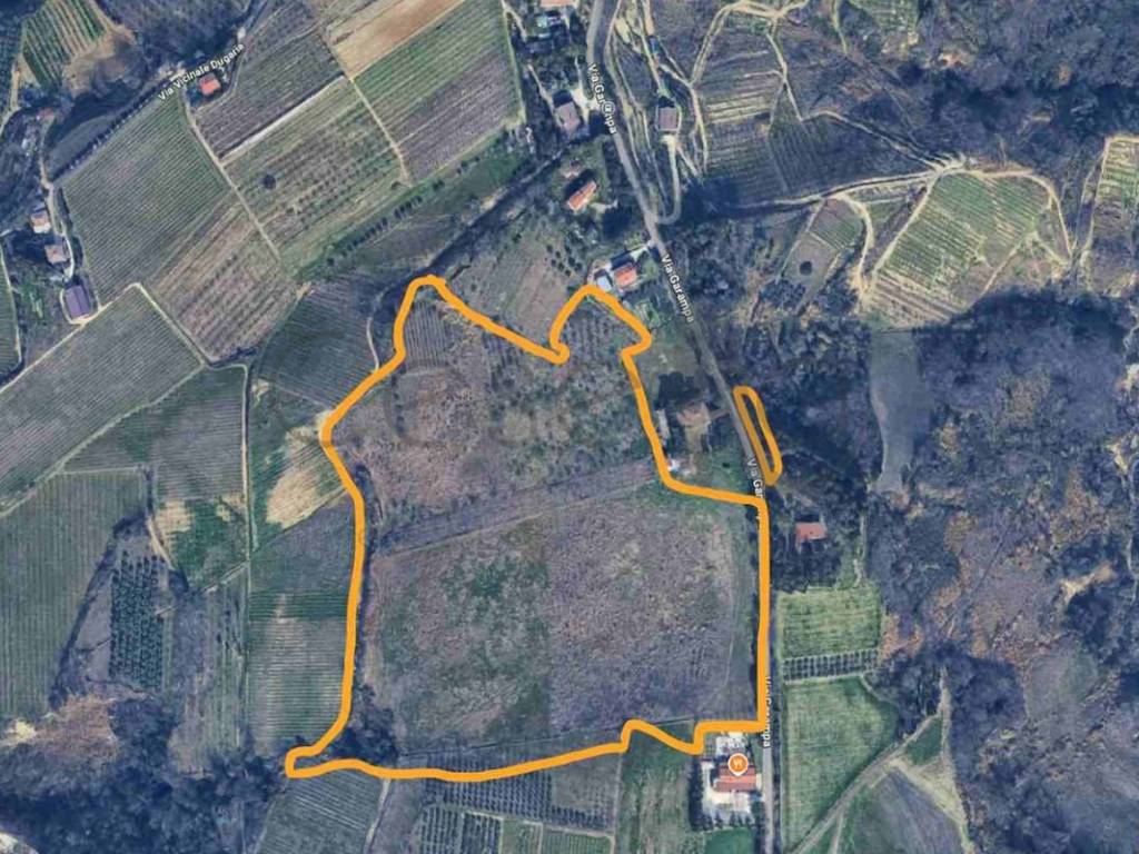 immagine annuncio 1 di 2