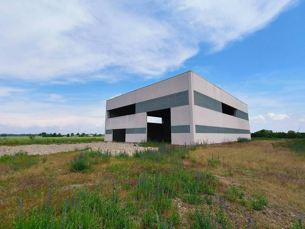 immagine annuncio 3 di 5