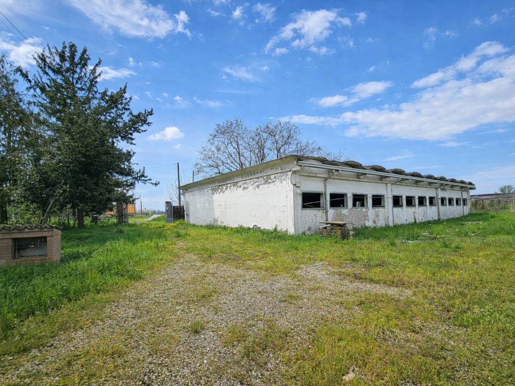 immagine annuncio 4 di 5