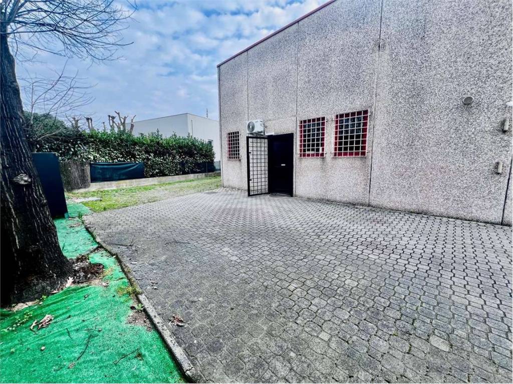 immagine annuncio 3 di 5