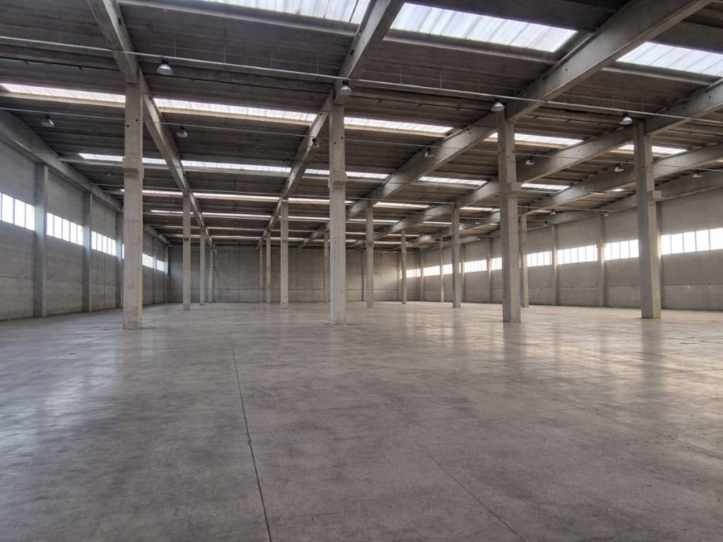 immagine annuncio 2 di 3