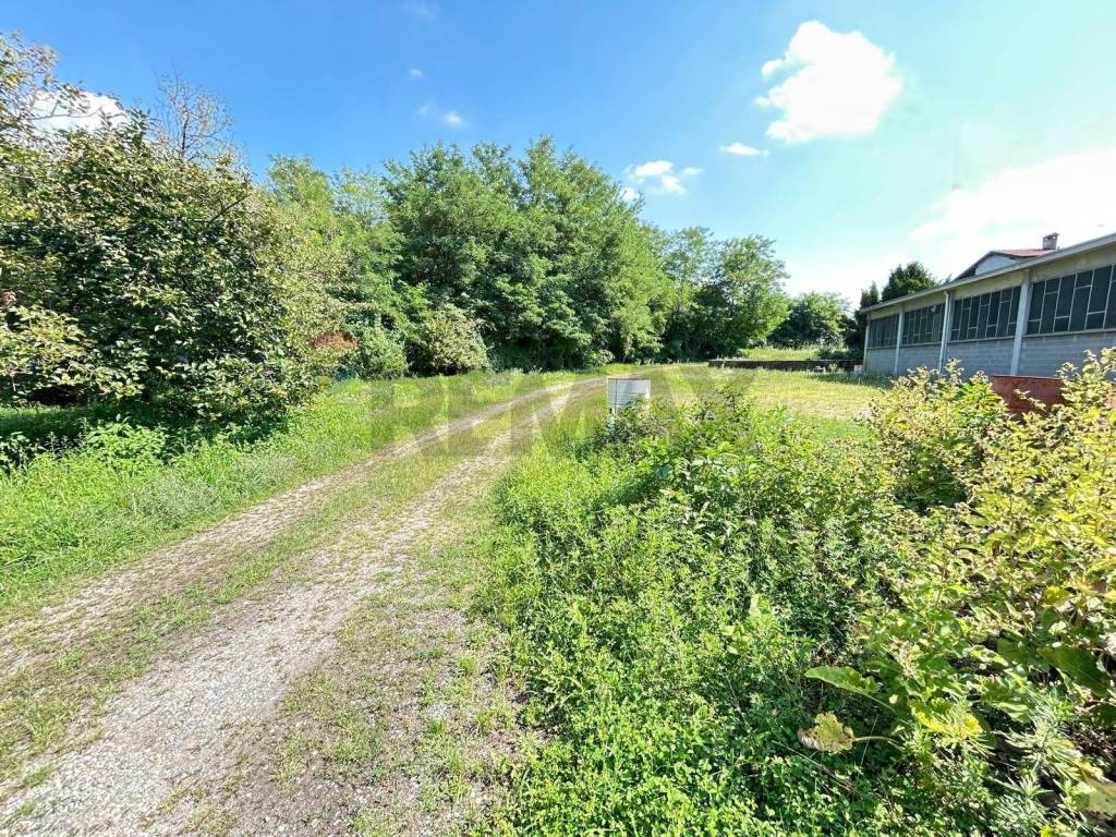 immagine annuncio 3 di 5