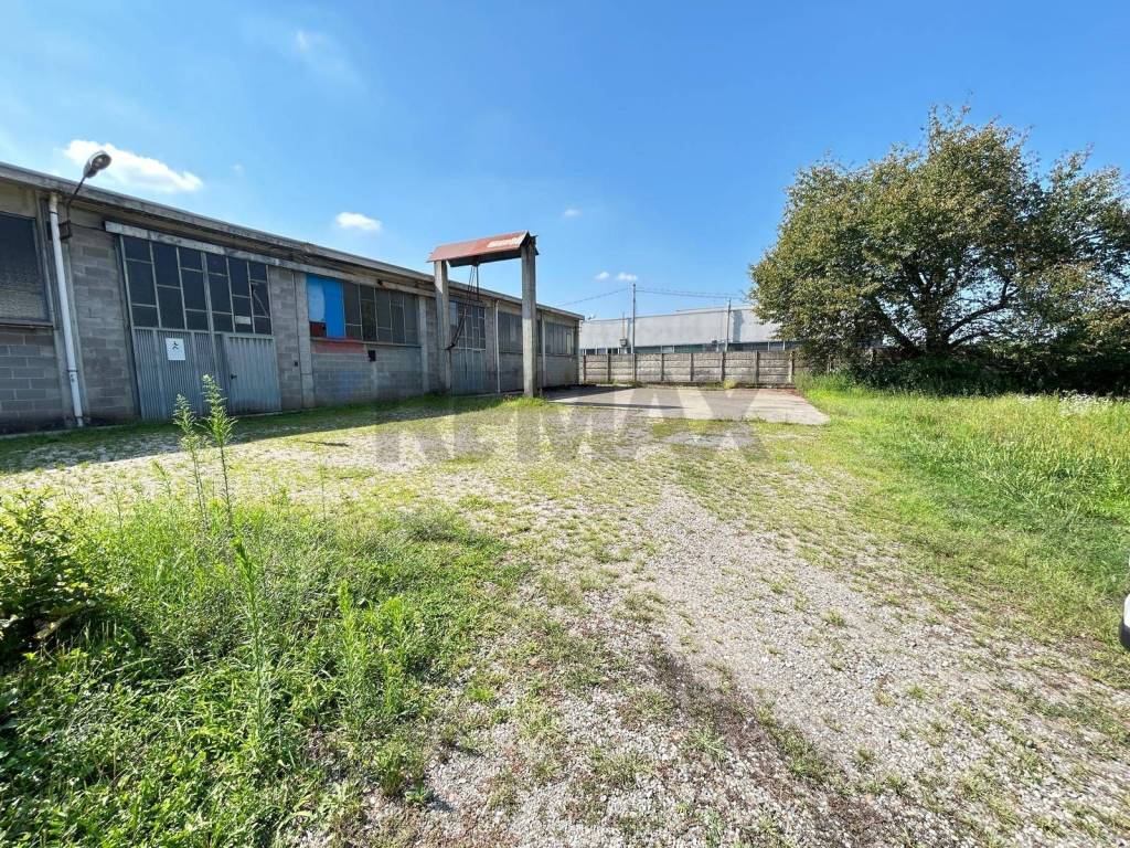 immagine annuncio 2 di 5