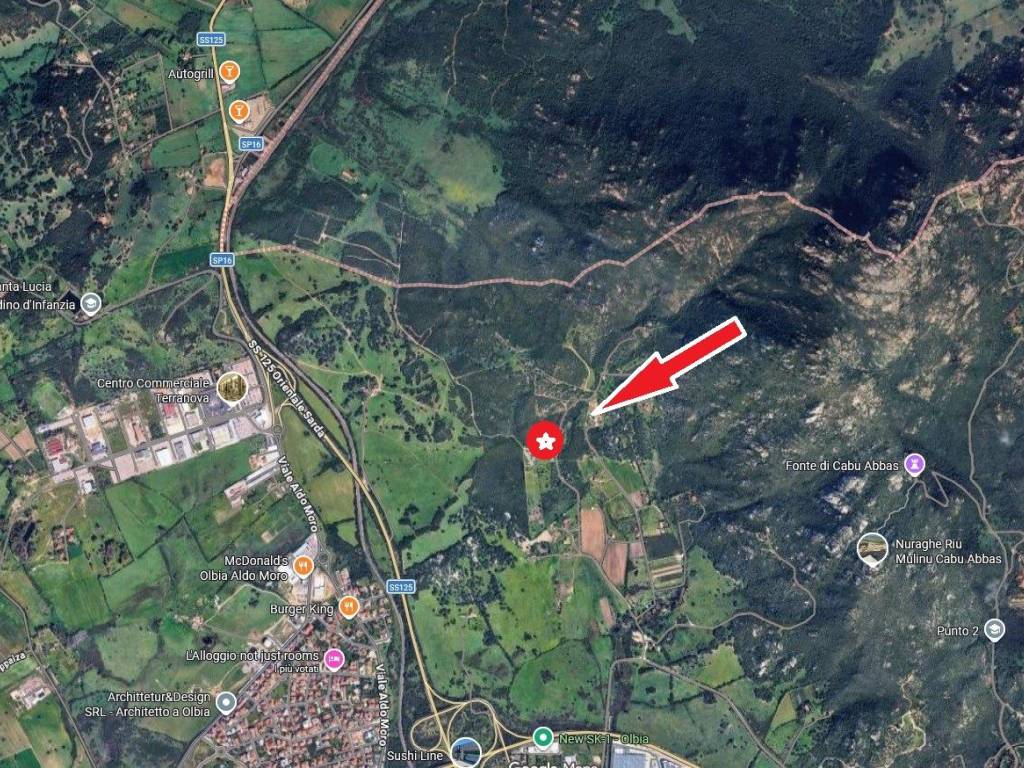 immagine annuncio 2 di 3