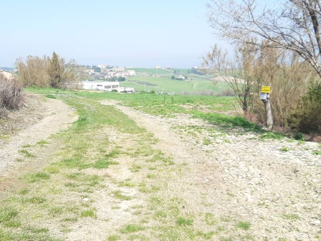 immagine annuncio 3 di 4