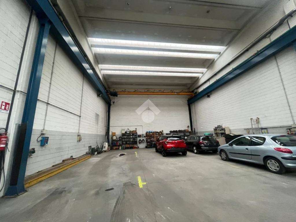 immagine annuncio 3 di 5