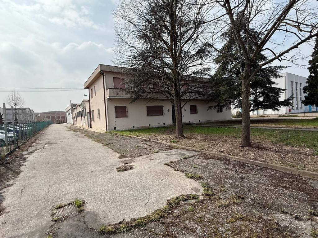 immagine annuncio 1 di 5