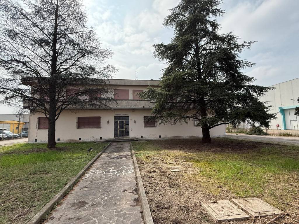 immagine annuncio 2 di 5