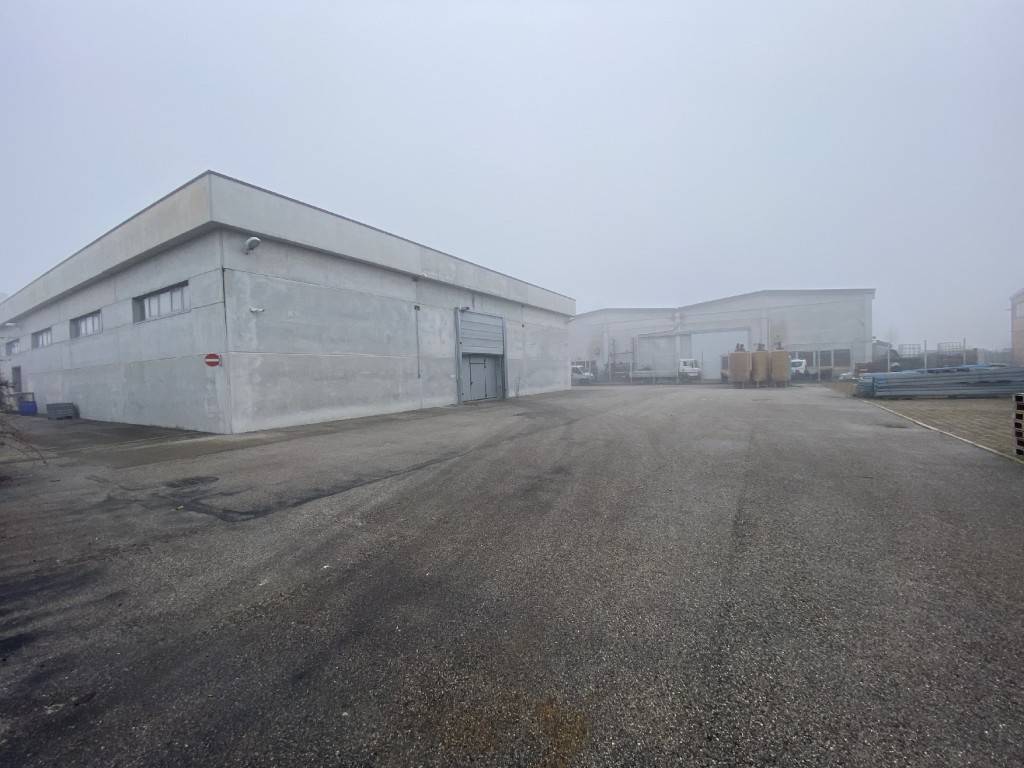 immagine annuncio 3 di 5