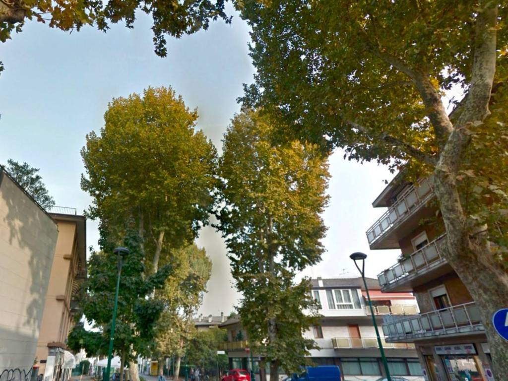 immagine annuncio 1 di 3