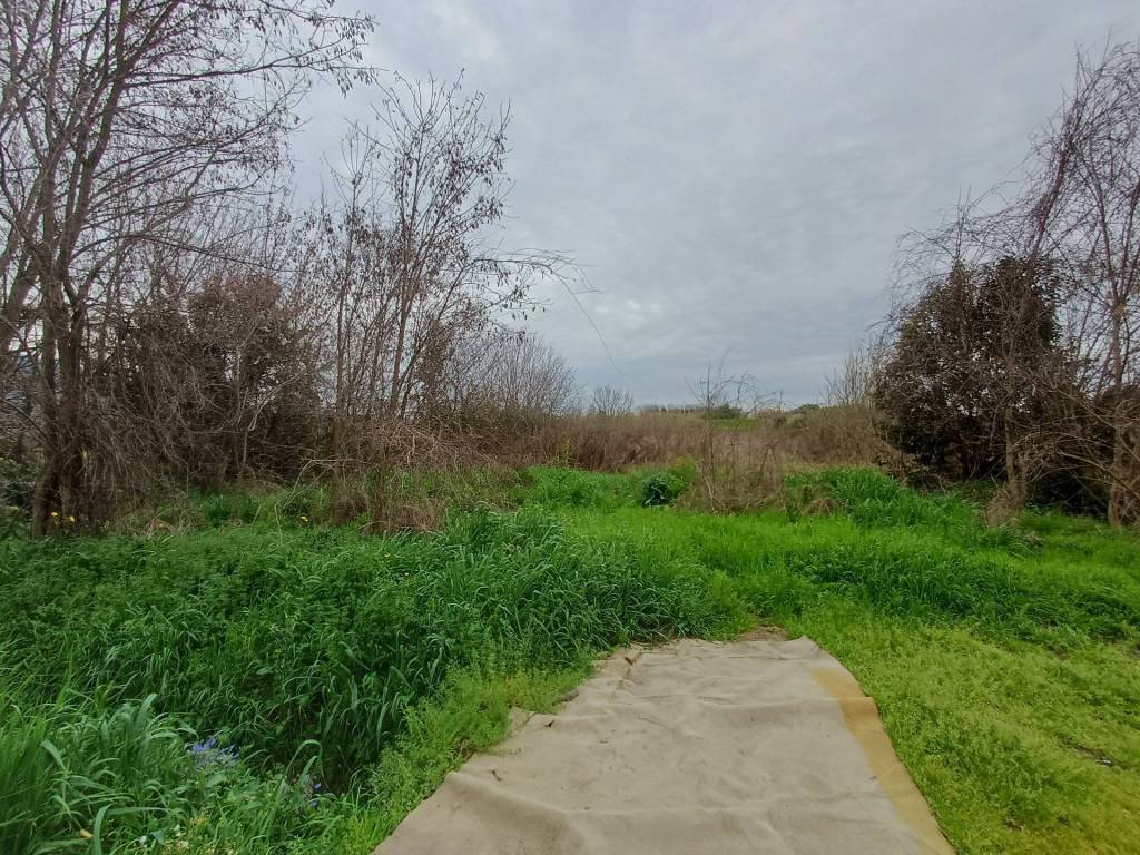 immagine annuncio 1 di 4