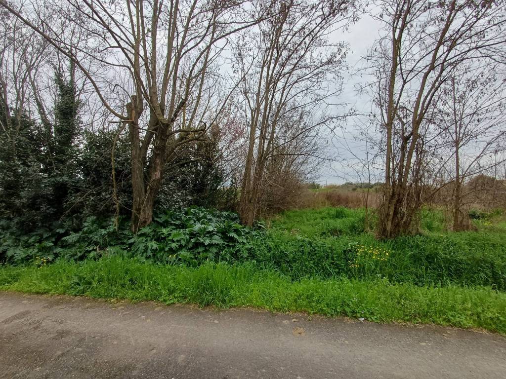 immagine annuncio 2 di 4