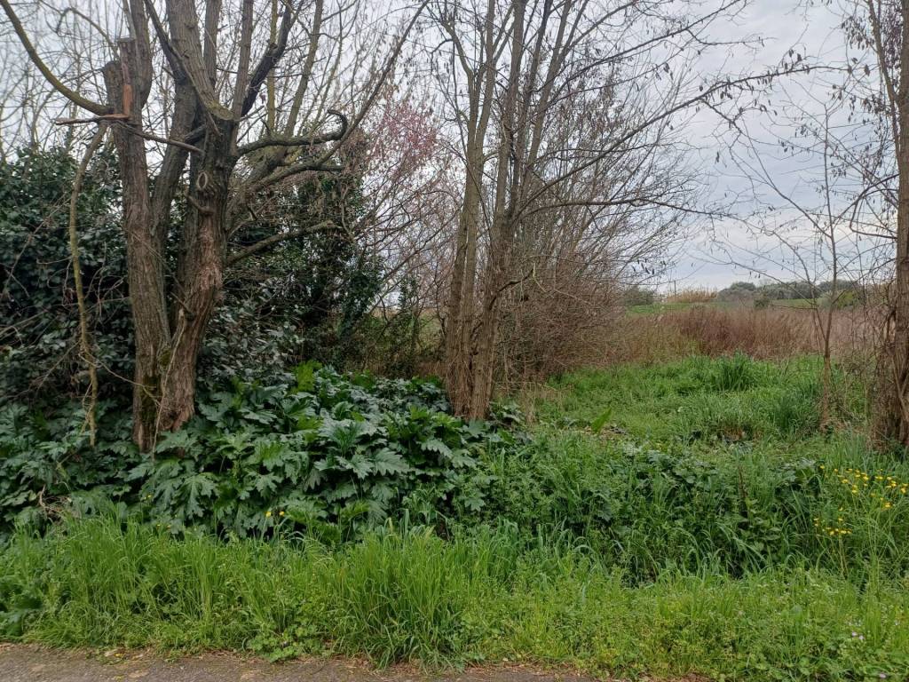 immagine annuncio 3 di 4