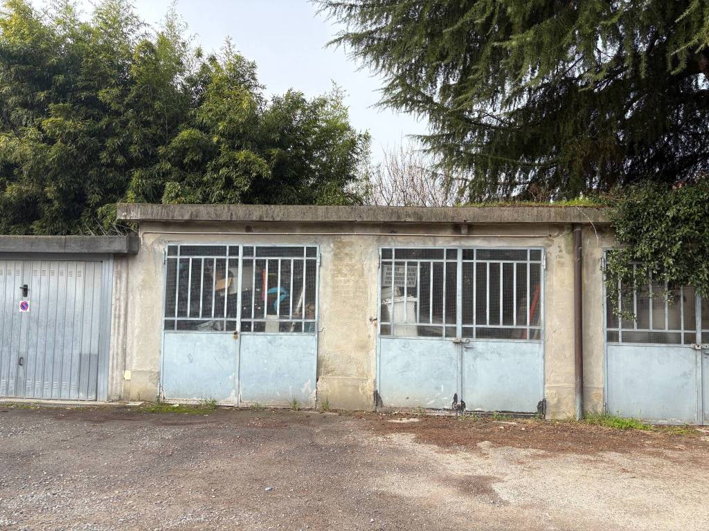 immagine annuncio 2 di 5