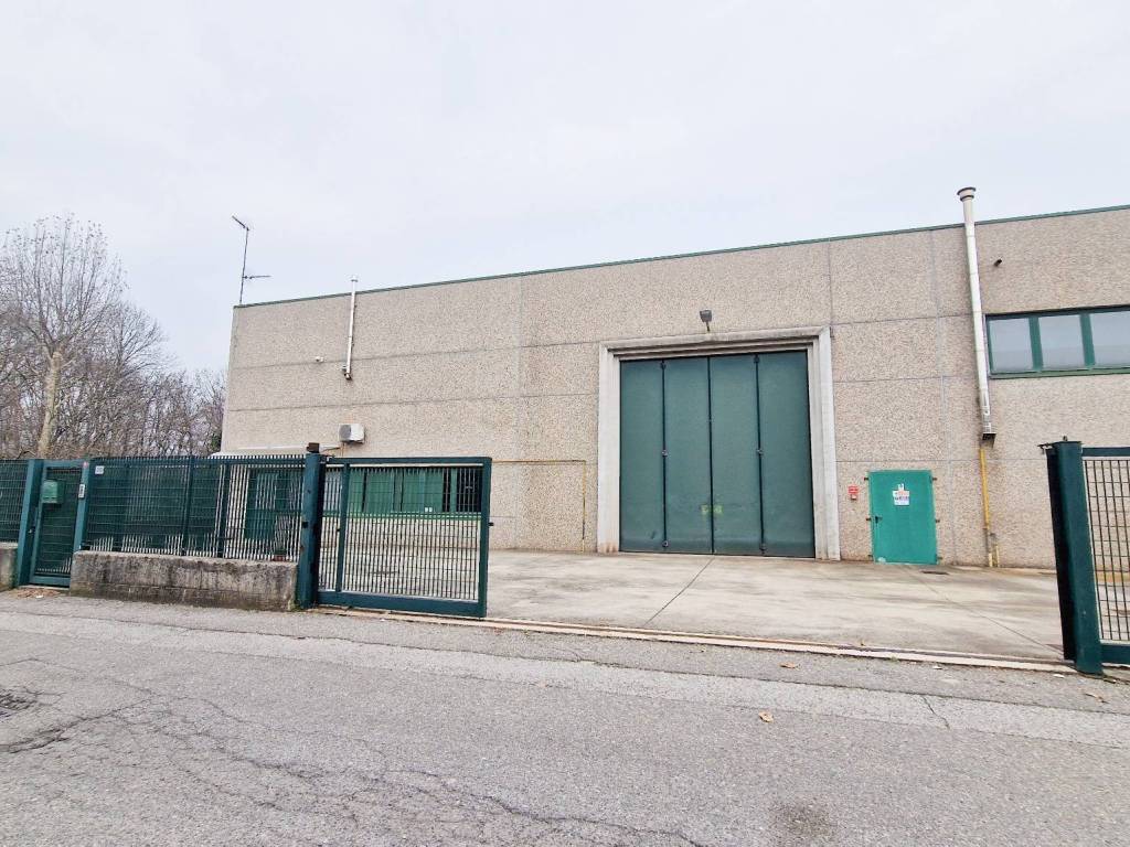 immagine annuncio 2 di 5