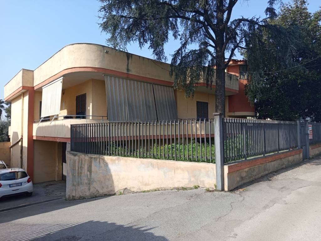 immagine annuncio 1 di 2