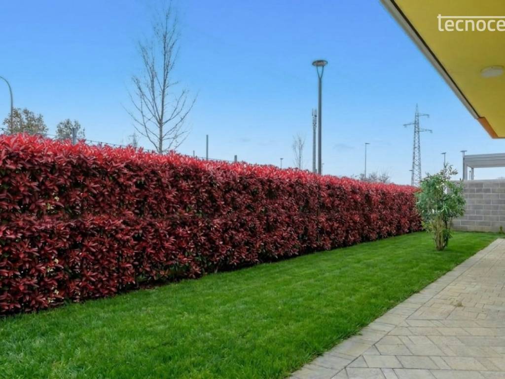 immagine annuncio 2 di 3