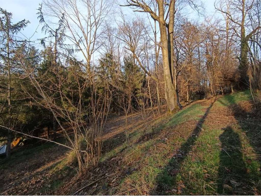 immagine annuncio 3 di 4