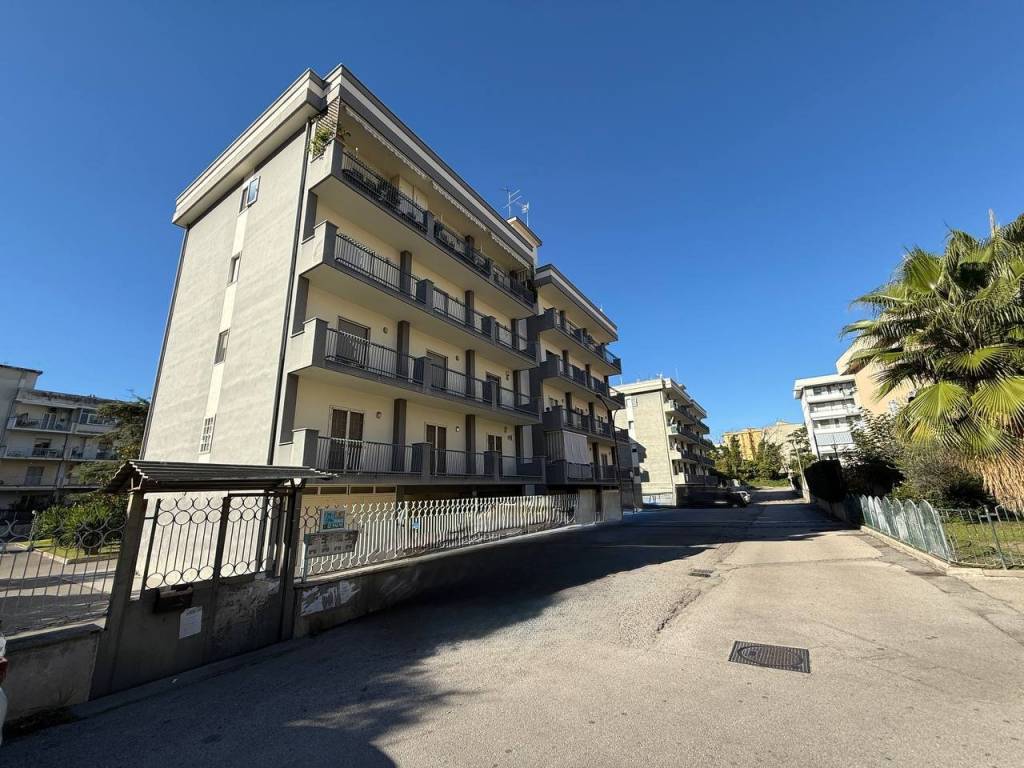 immagine annuncio 1 di 4