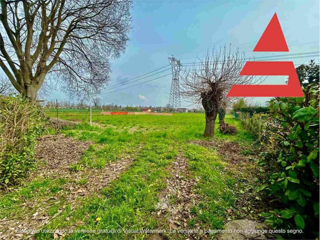 immagine annuncio 3 di 4