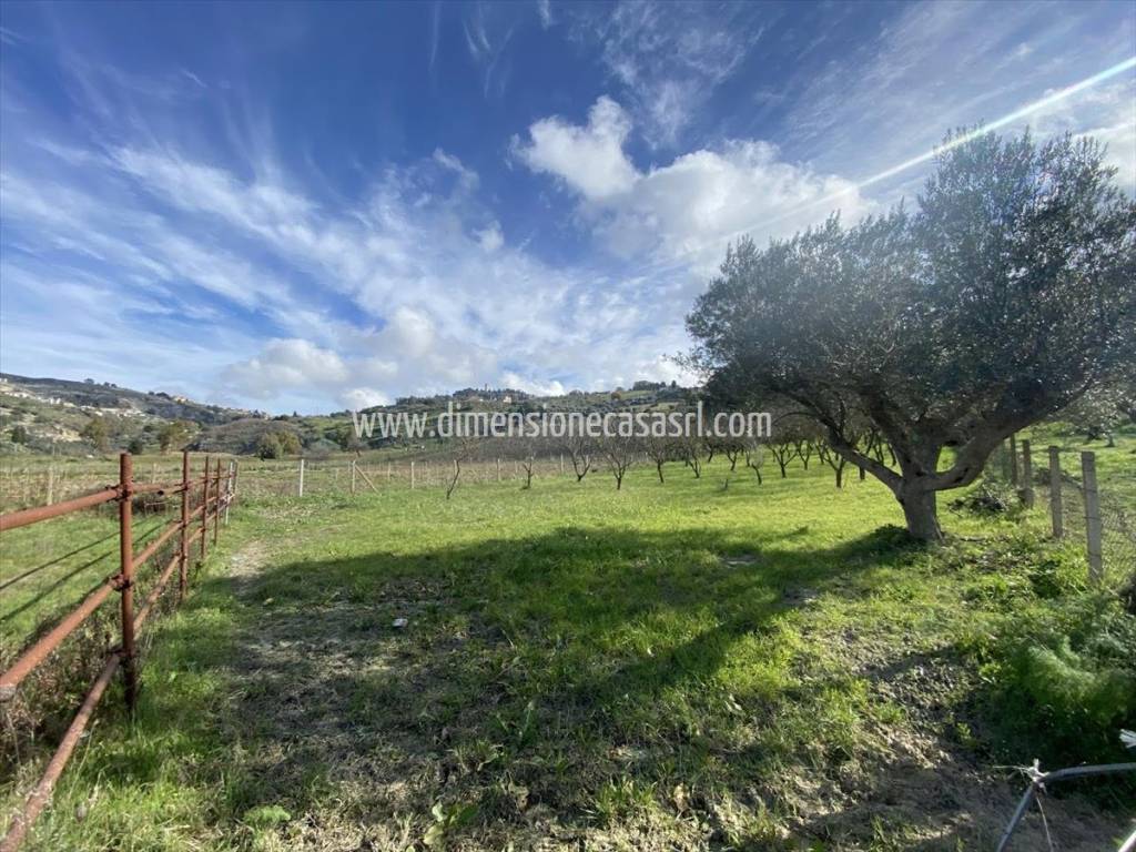 immagine annuncio 1 di 3