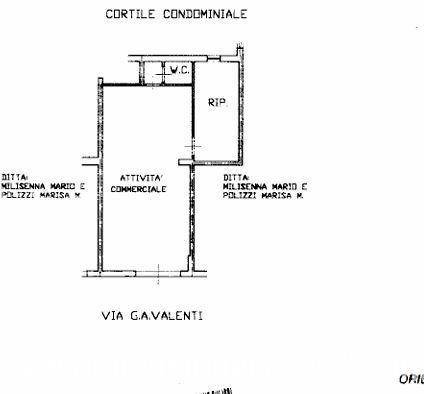 immagine annuncio 1 di 2