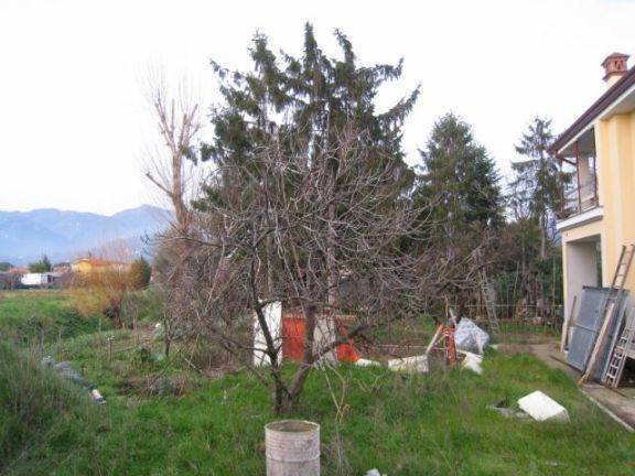 immagine annuncio 1 di 3