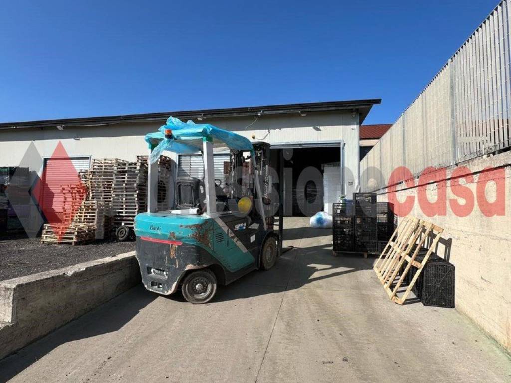 immagine annuncio 2 di 5