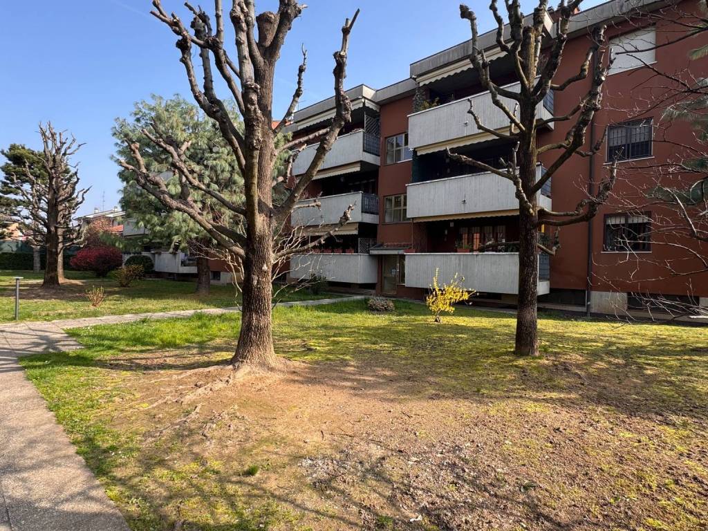 immagine annuncio 2 di 5