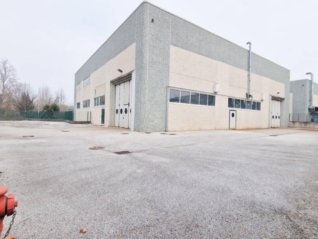 immagine annuncio 3 di 5