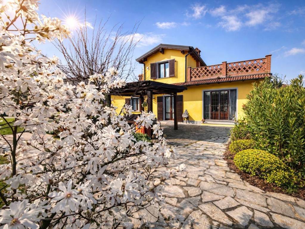 immagine annuncio 2 di 5