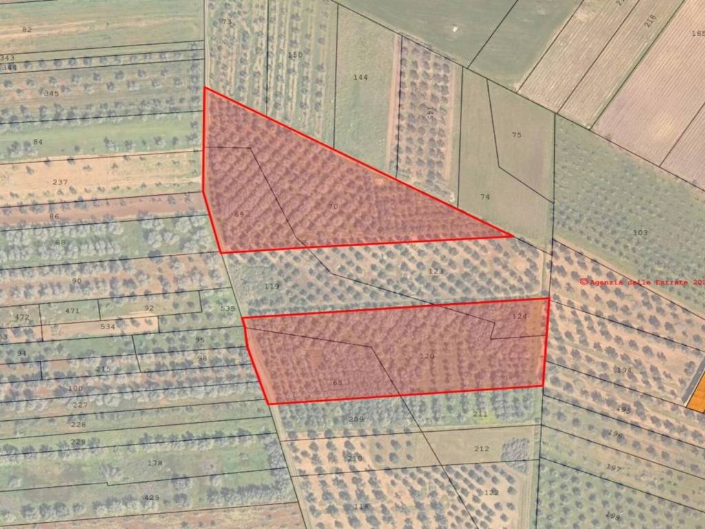 immagine annuncio 4 di 5