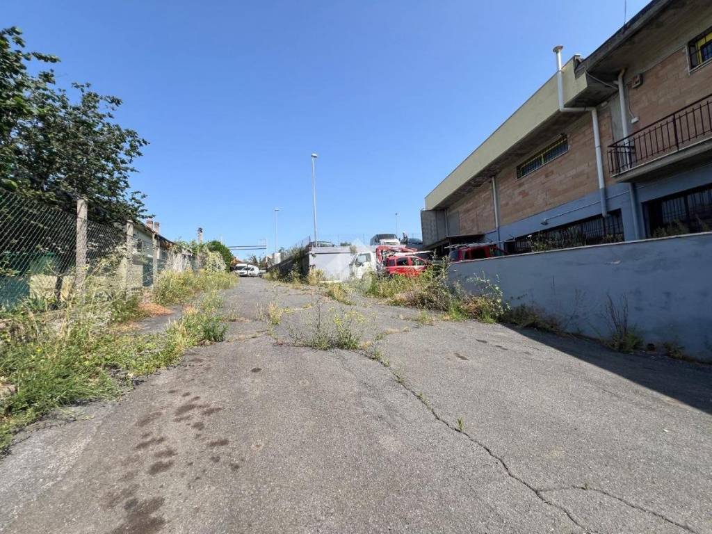 immagine annuncio 2 di 5