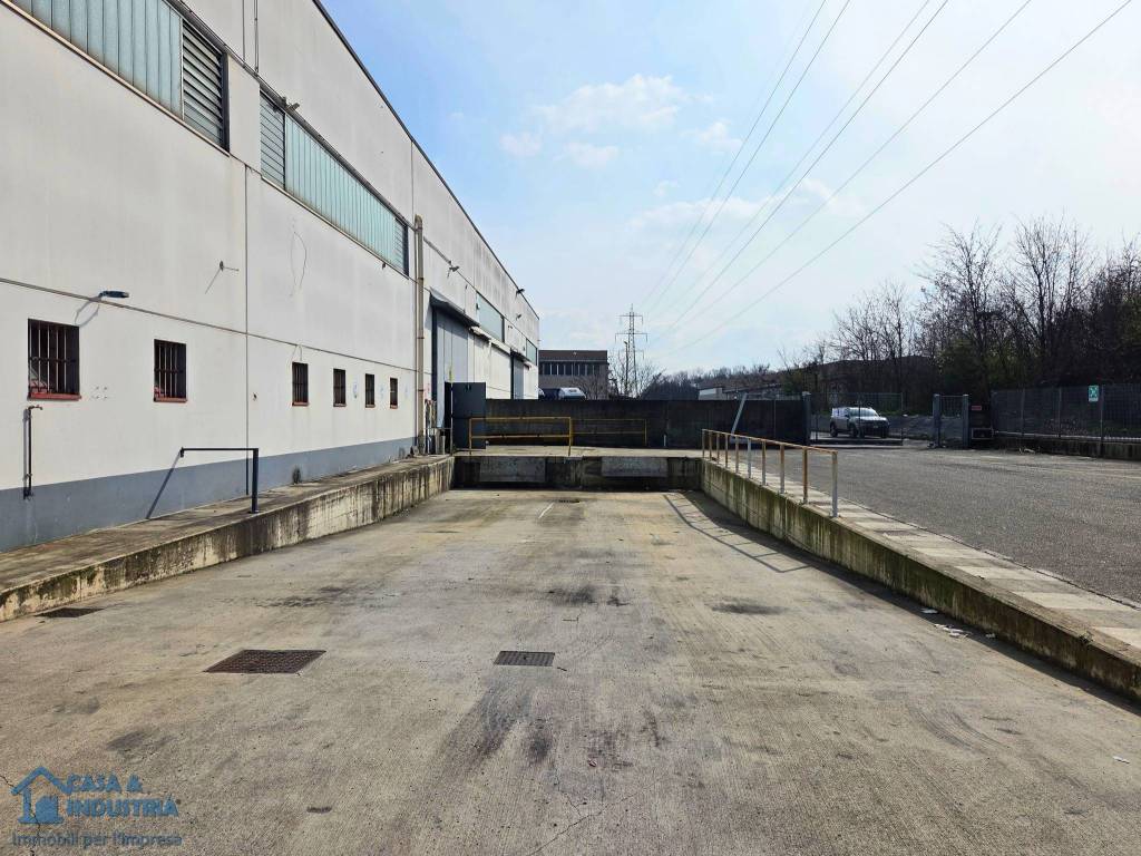 immagine annuncio 2 di 5