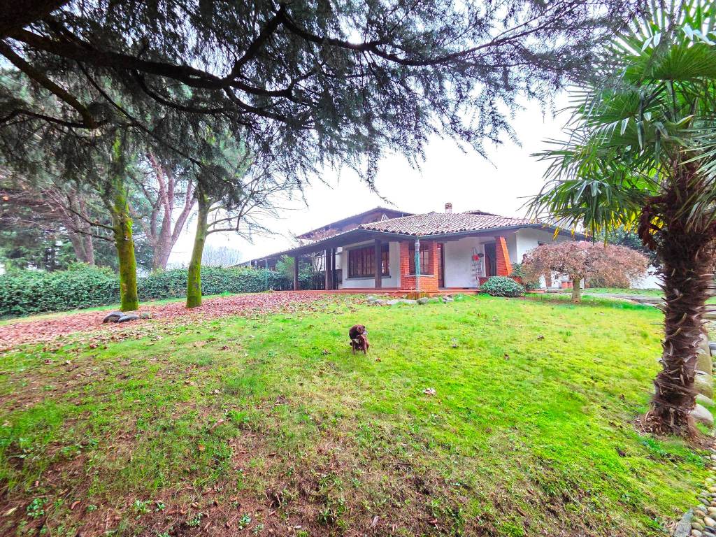 immagine annuncio 3 di 5