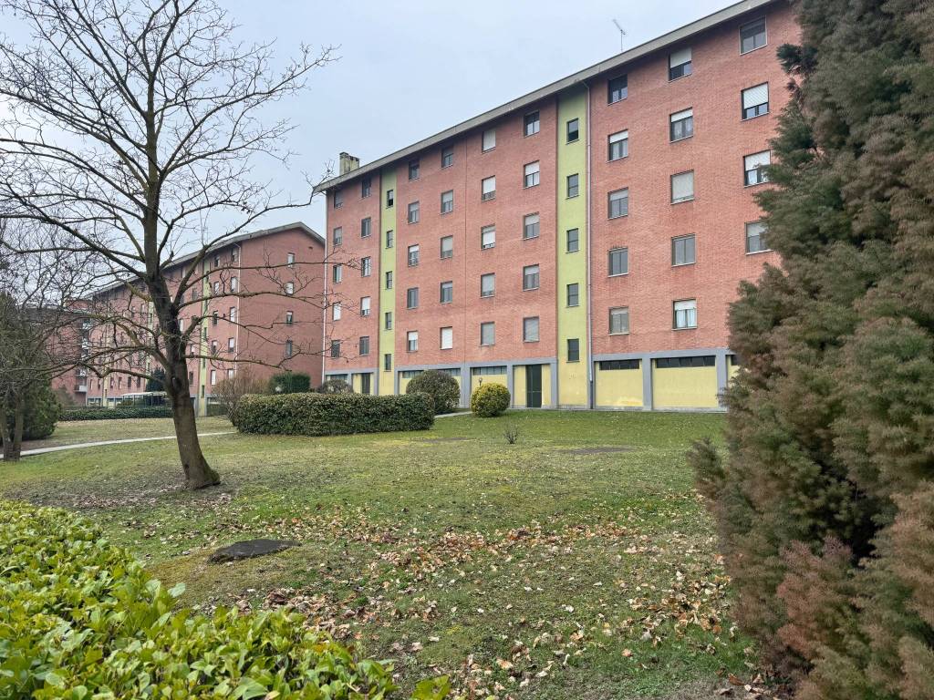 immagine annuncio 2 di 5