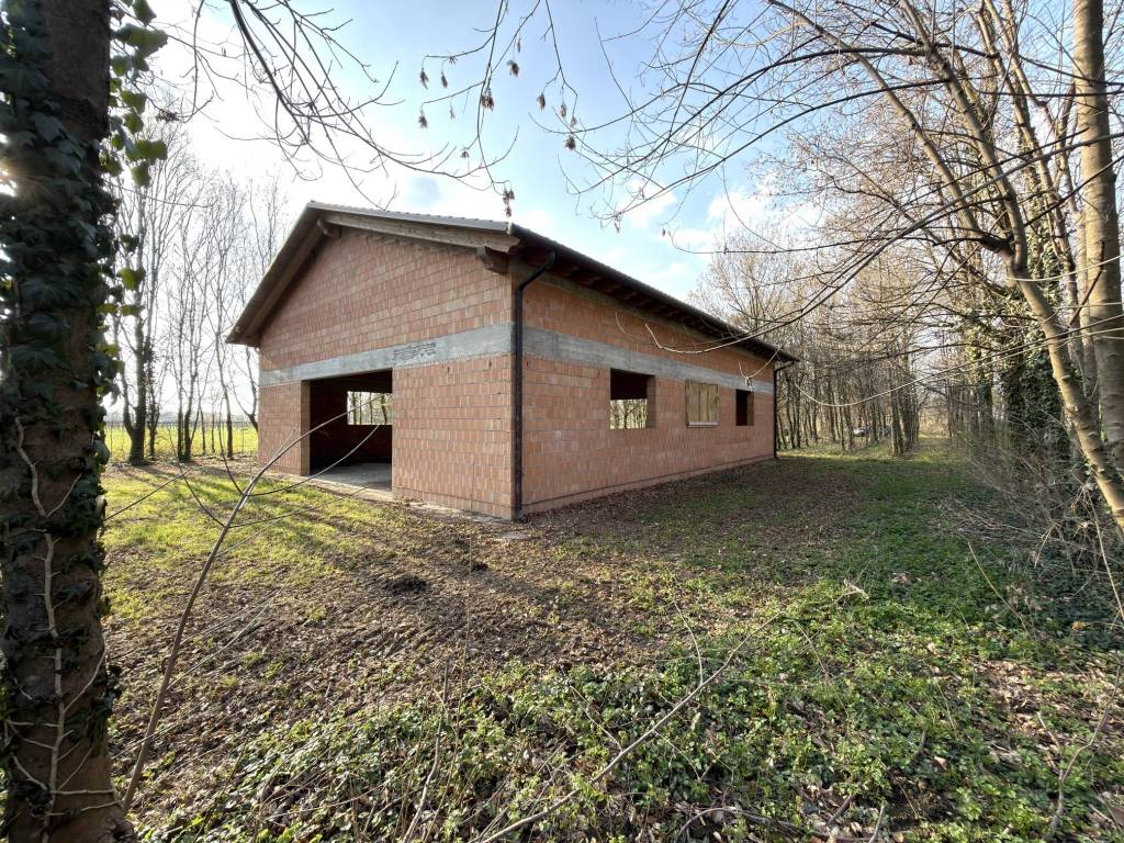 immagine annuncio 3 di 5