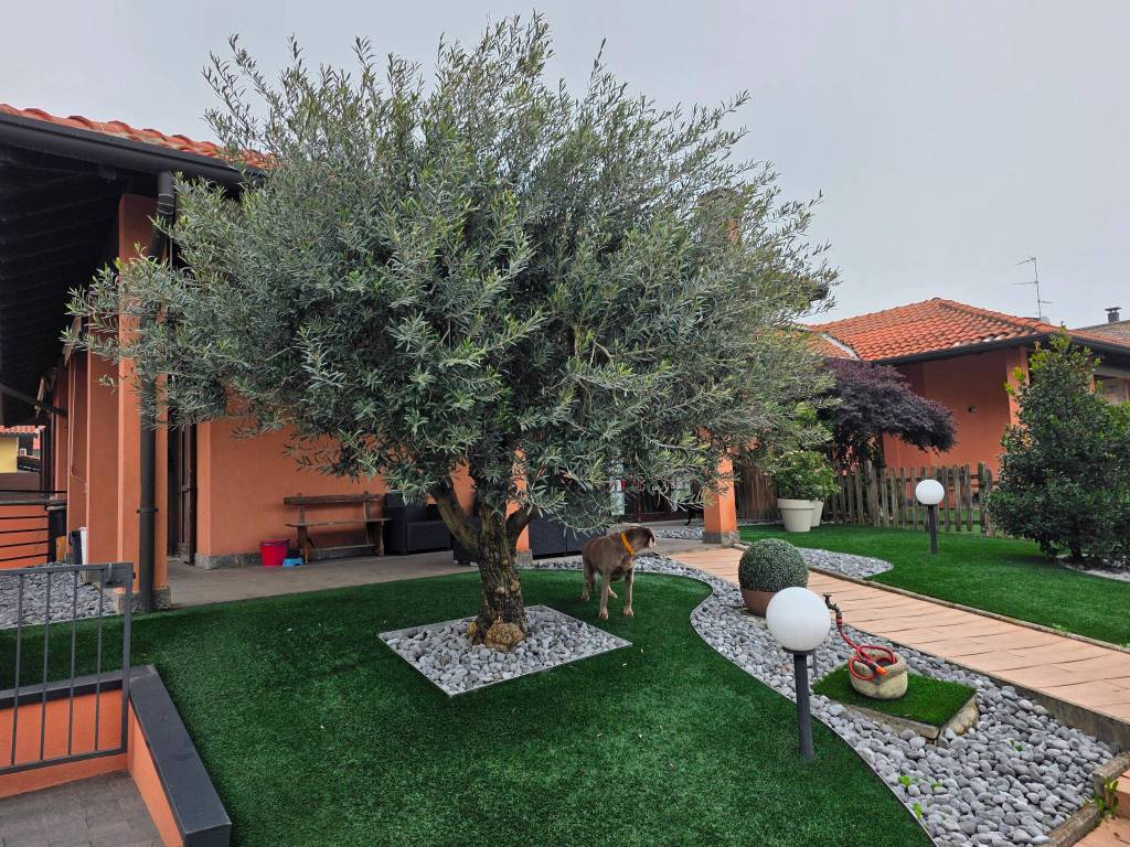 immagine annuncio 1 di 5