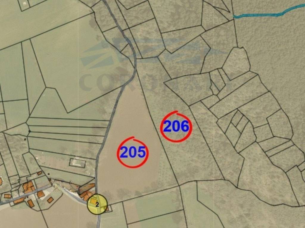 immagine annuncio 1 di 2