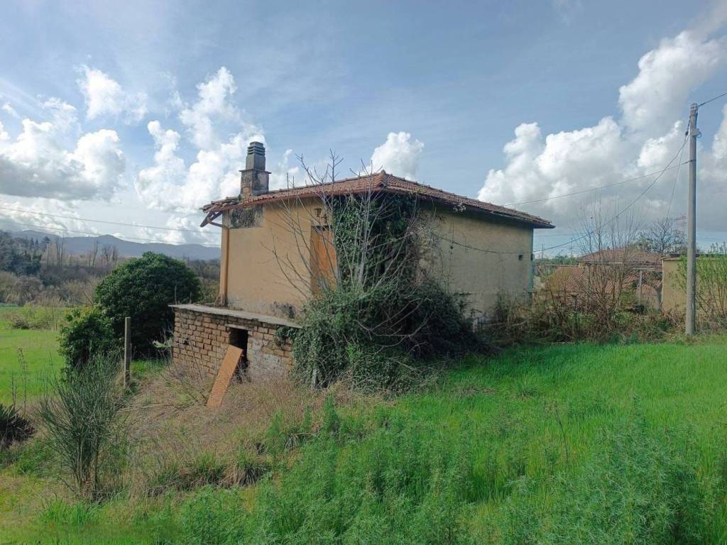 immagine annuncio 2 di 3