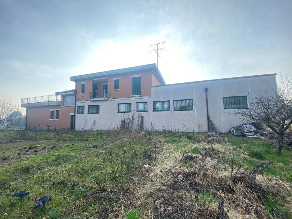 immagine annuncio 2 di 5