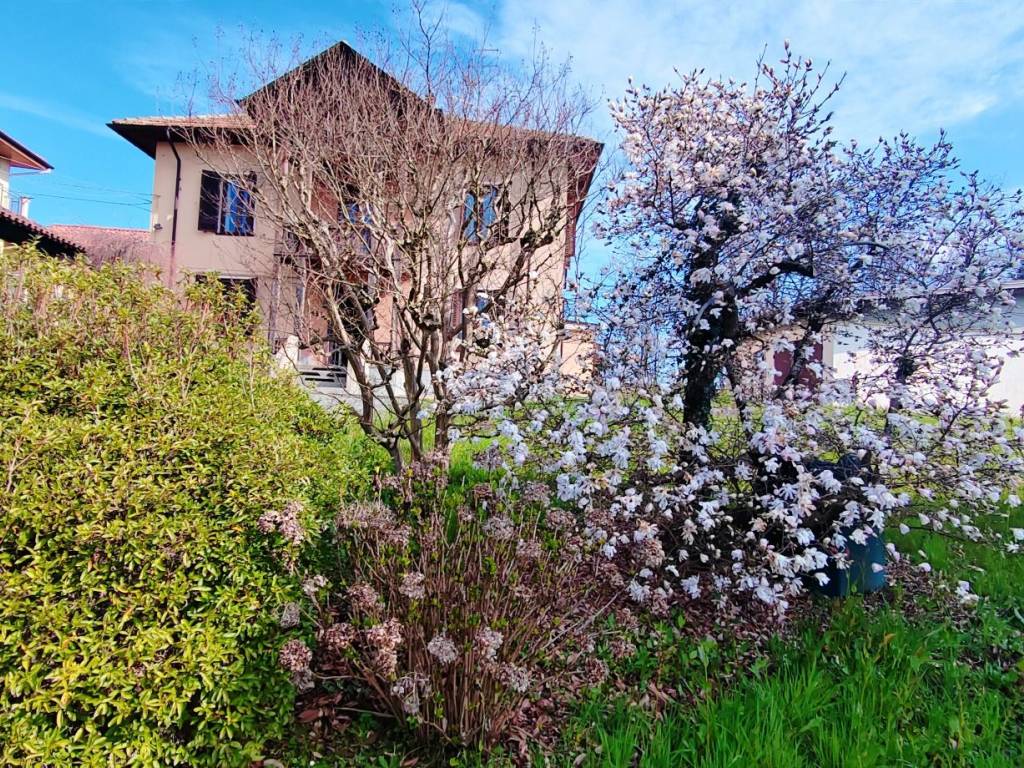 immagine annuncio 4 di 5