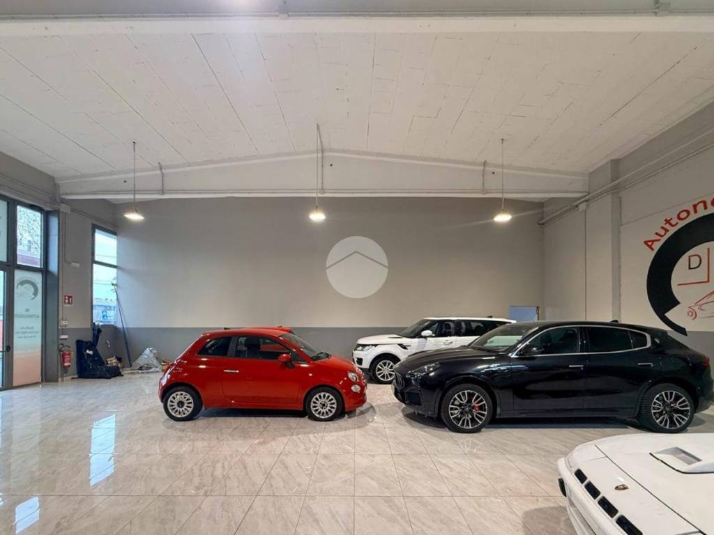 immagine annuncio 1 di 5