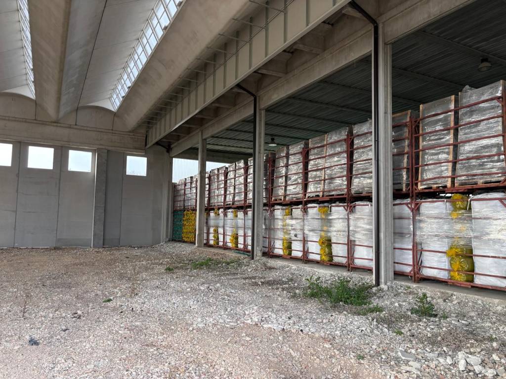 immagine annuncio 1 di 2