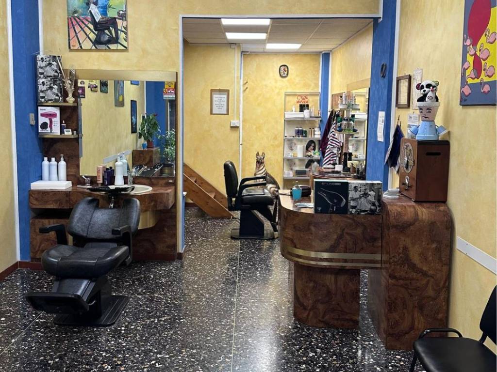 immagine annuncio 1 di 5