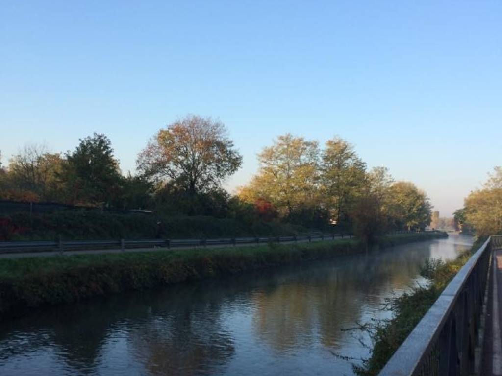 immagine annuncio 2 di 3